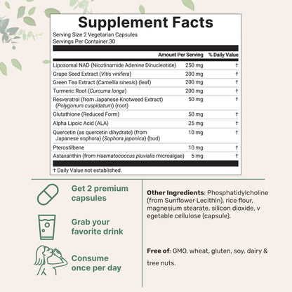 Liposomal NAD+ Ultimate 1,000mg, 60 Veggie Capsules